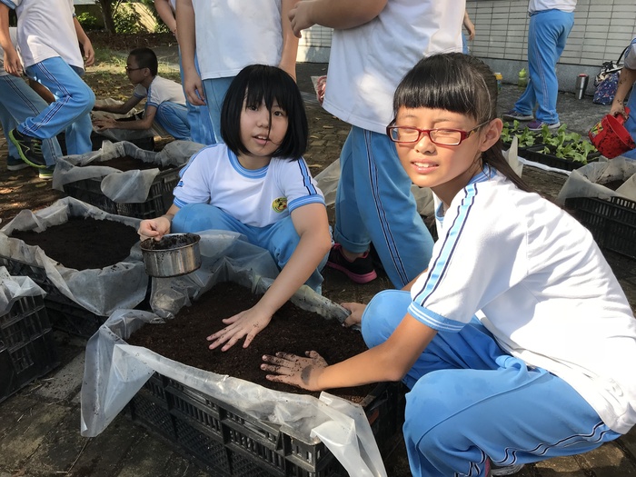 圖片說明